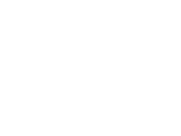 ВНІС