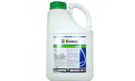 Інсeктицид ЕНЖІО (Syngenta)