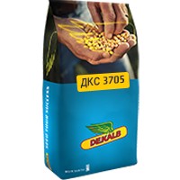 Насіння кукурудзи ДКС 3705 (DEKALB)