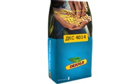 Насіння кукурудзи ДКС 4014 (DEKALB)