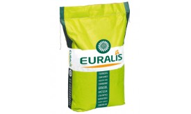 Насіння соняшнику ЕС БЕЛЛА (EURALIS)