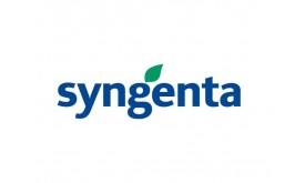 Протруйник СЕЛЕСТ ТОП 312.5 FS (Syngenta) Протруйник СЕЛЕСТ ТОП 312.5 FS (Syngenta)