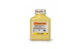 Регулятор росту РЕГАЛІС (BASF)